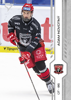 Adam Novotny Hradec Kralove Tipsport ELH 2024/25 SportZoo 2. serie #315